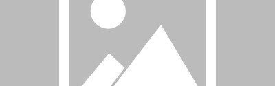 v体育-记者：曼联正准备向西汉姆联报价，以引进马特乌斯·费尔南德斯