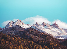 开云官网：云端体验的新标杆