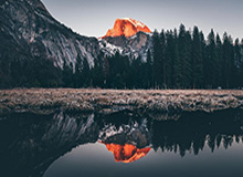 精雕细刻！哈利伯顿收获个人专属木雕版Hali1